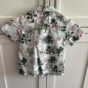 Janie and Jack Button Down